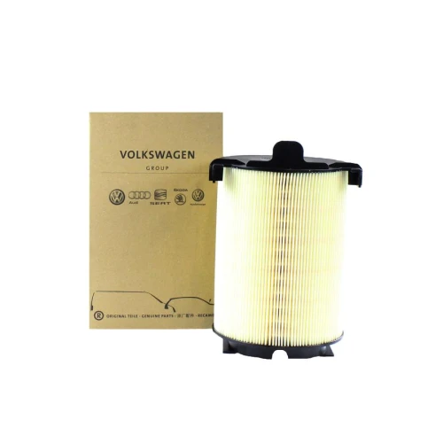 Filtro de Ar de Motor VW 1F0129620